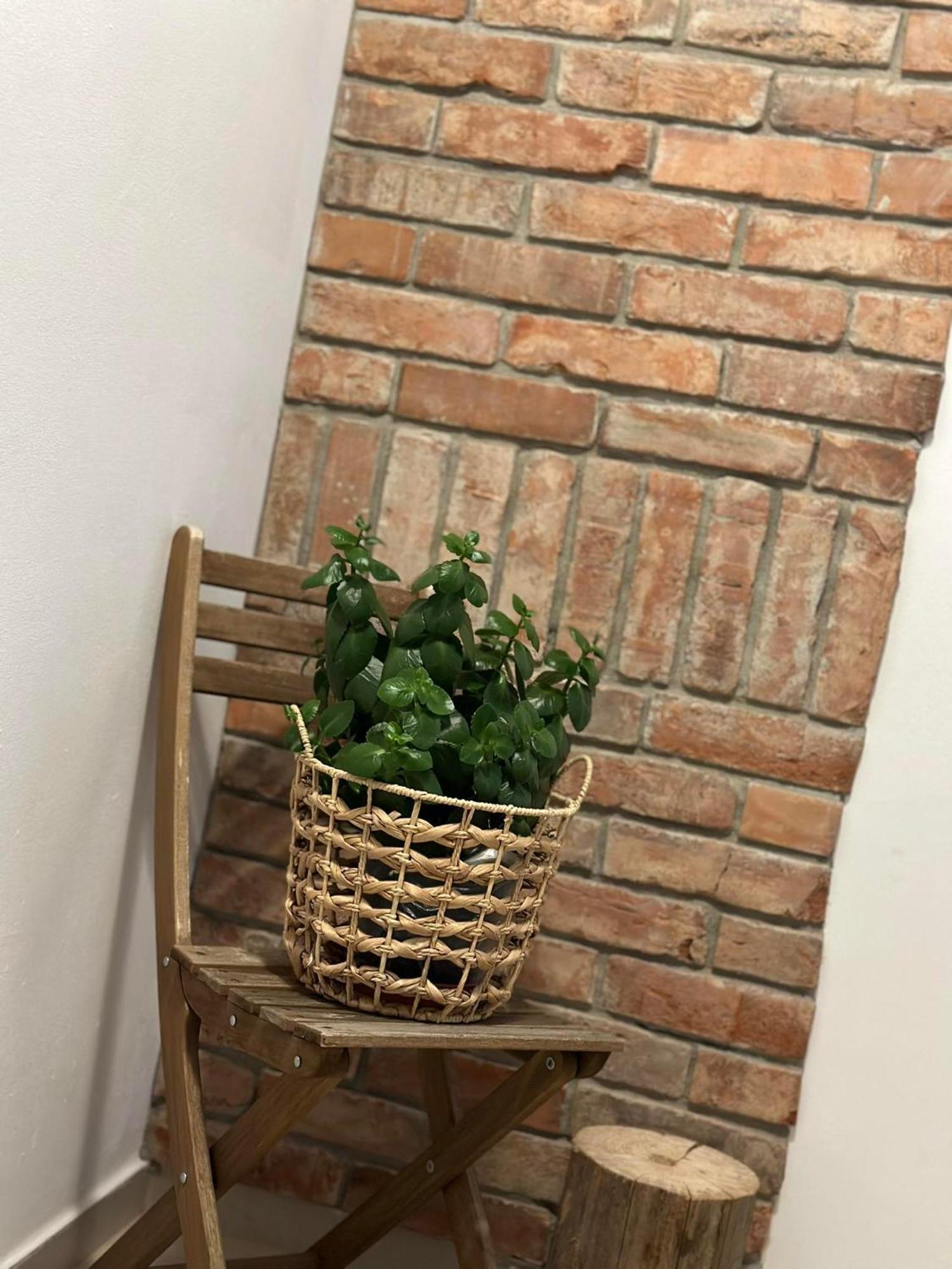 Apartament Fajny Kat Ustrzyki Dolne Esterno foto